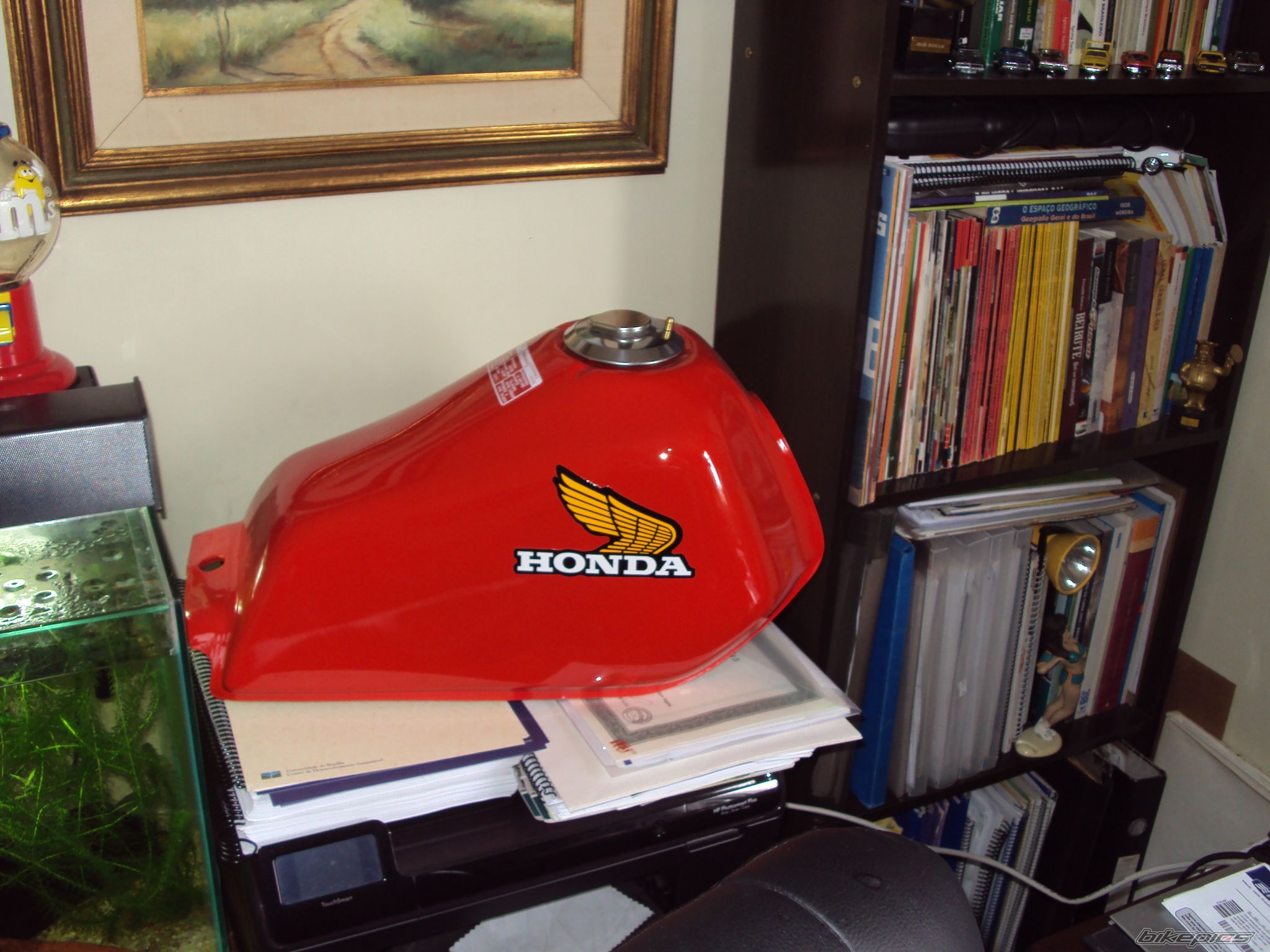 Photo 2323251