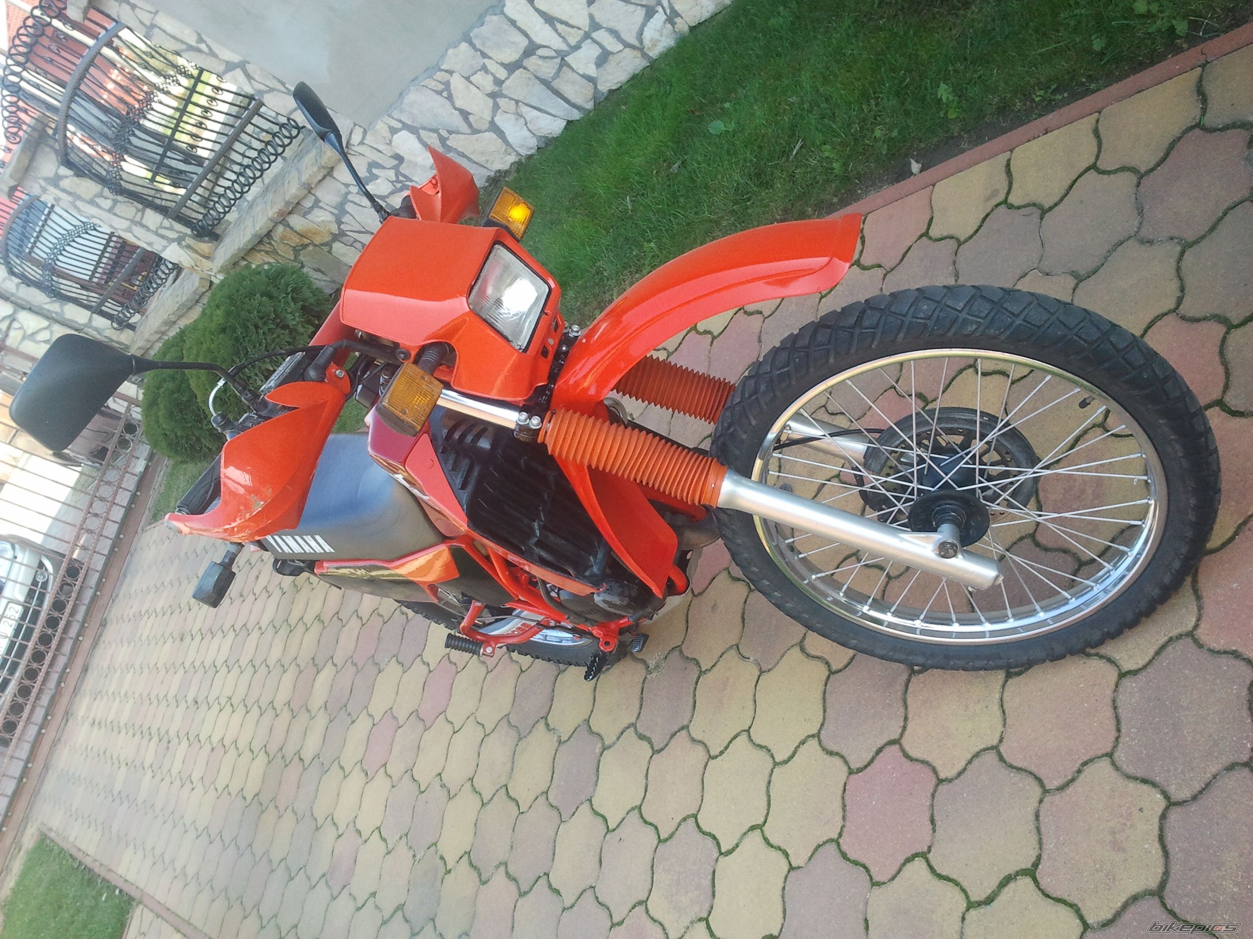 Photo 2323333