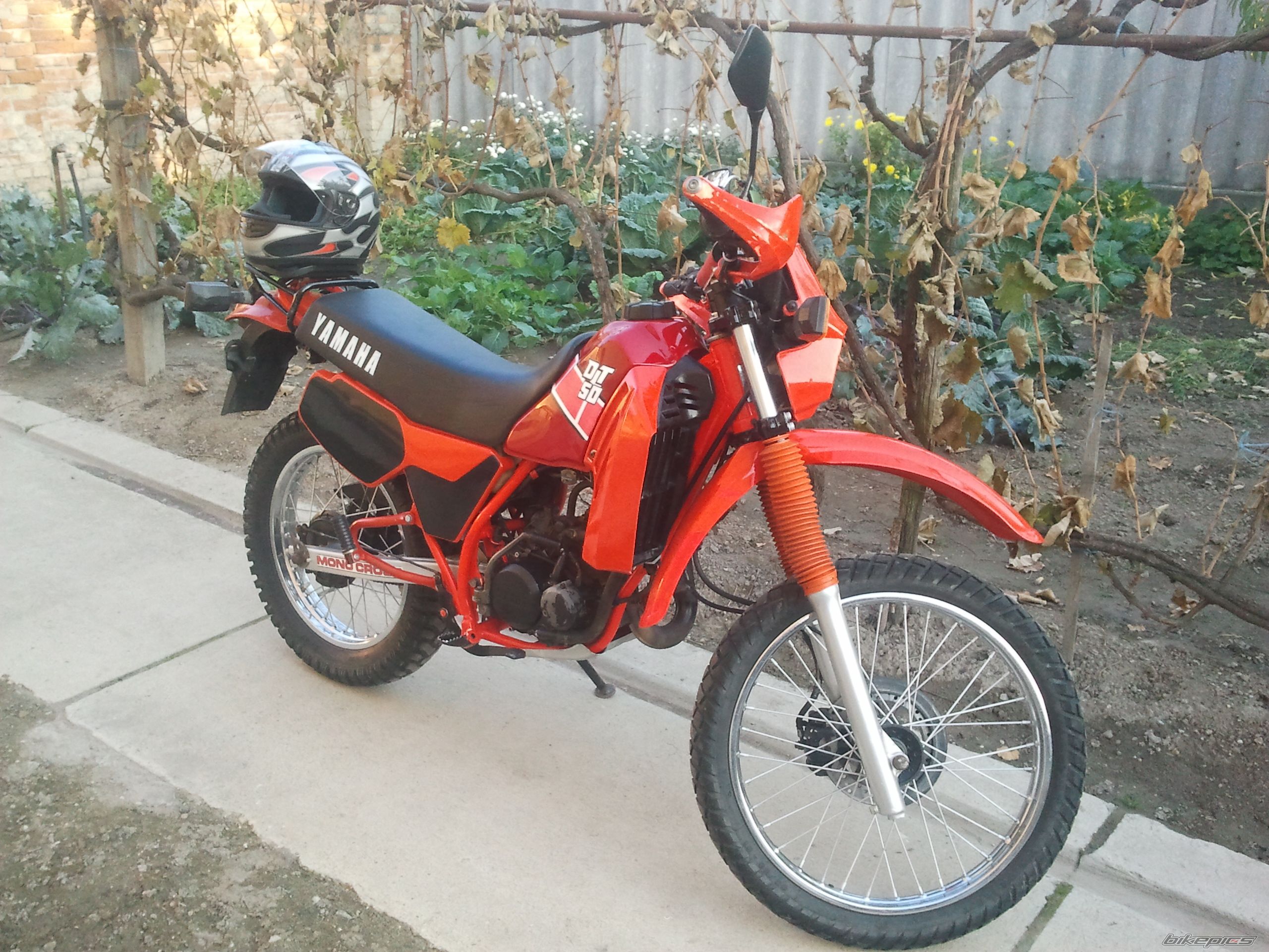 Photo 2323334