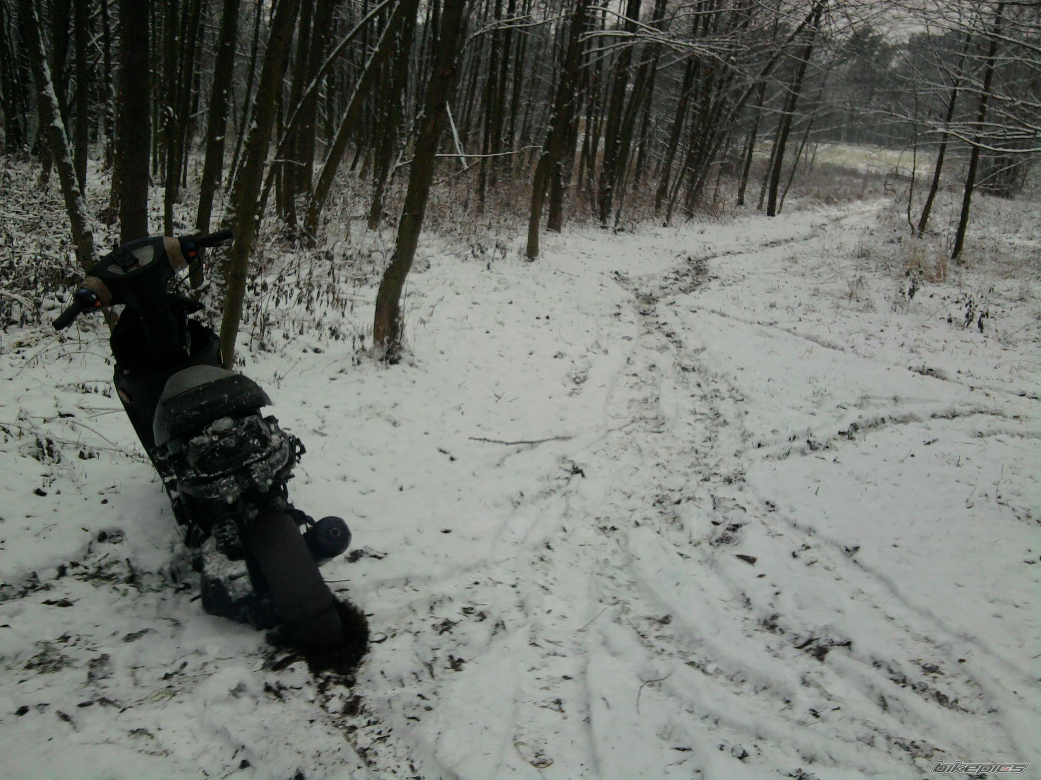 Bike Photo 2323419