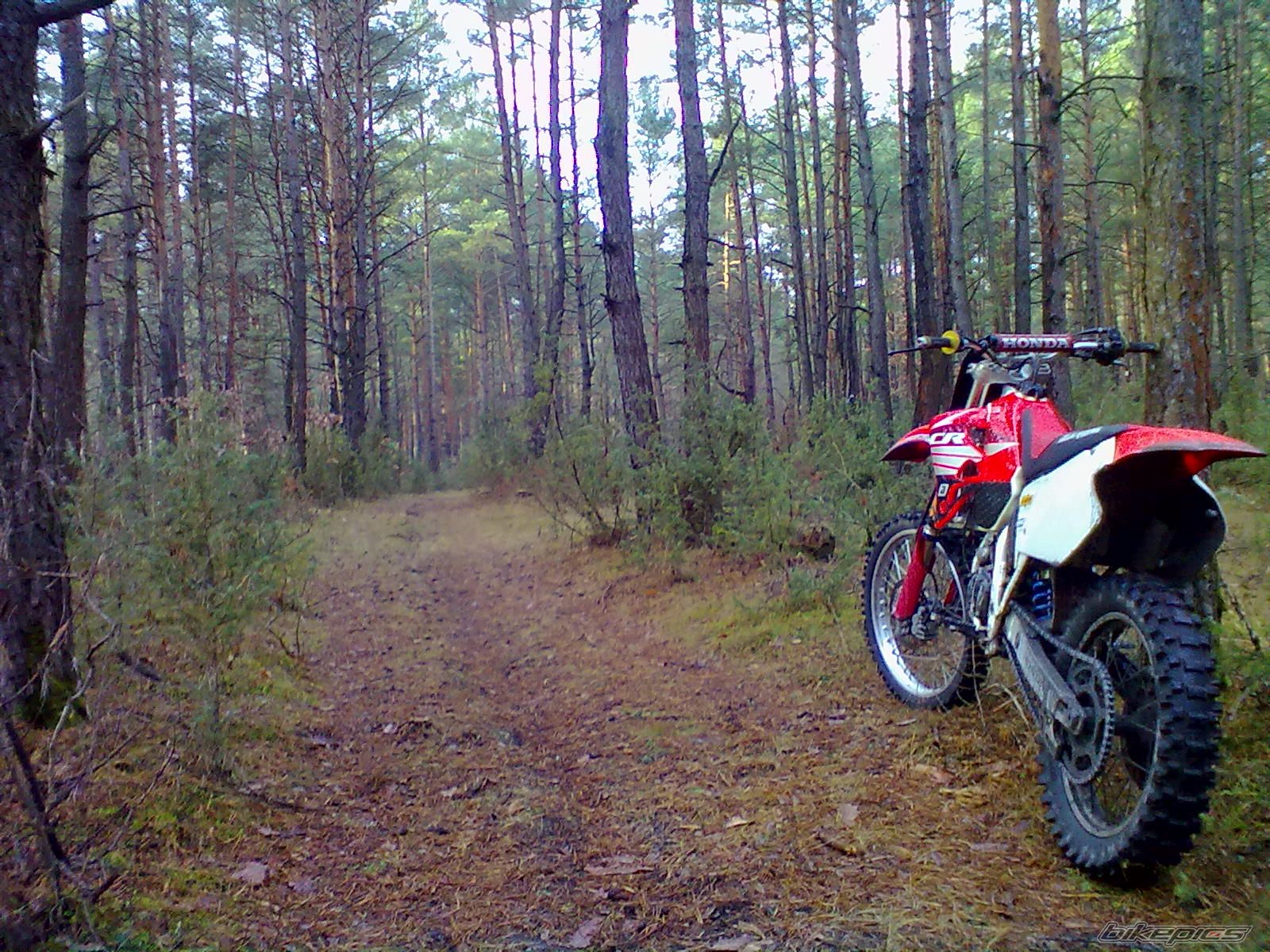 Photo 2323472