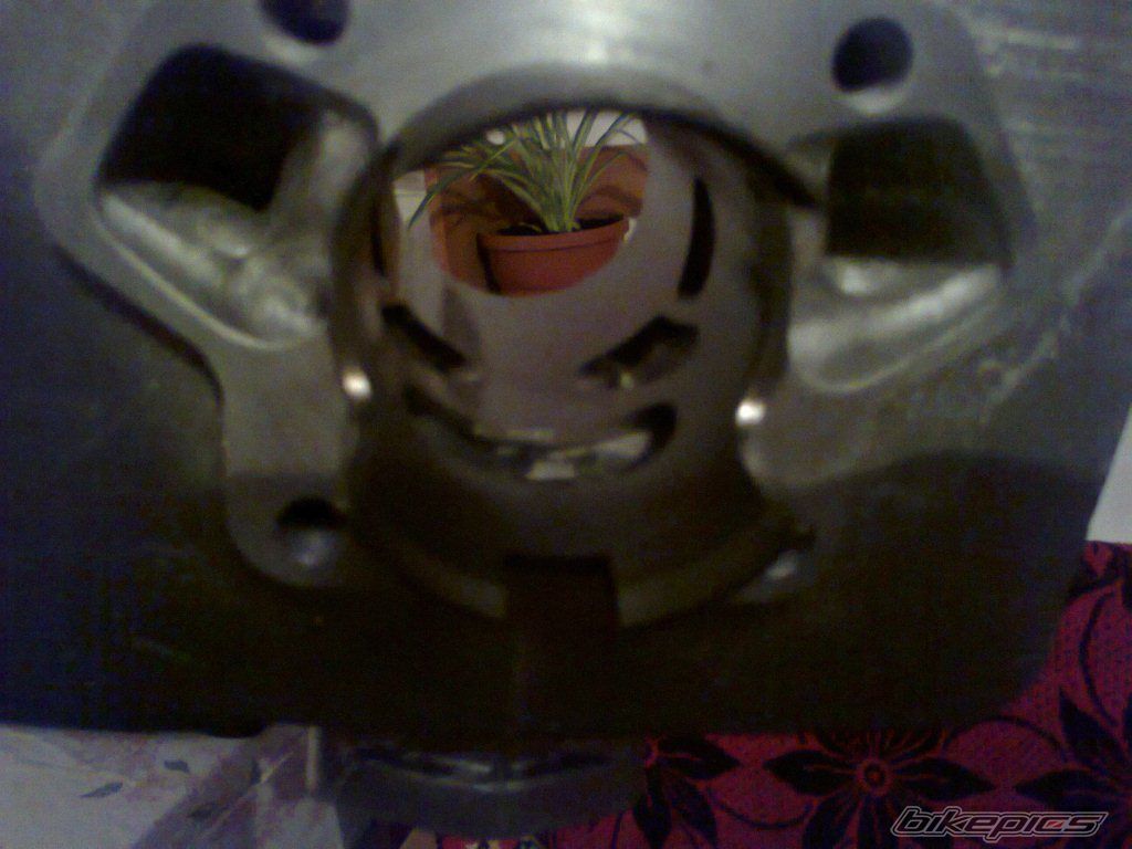Photo 2323692