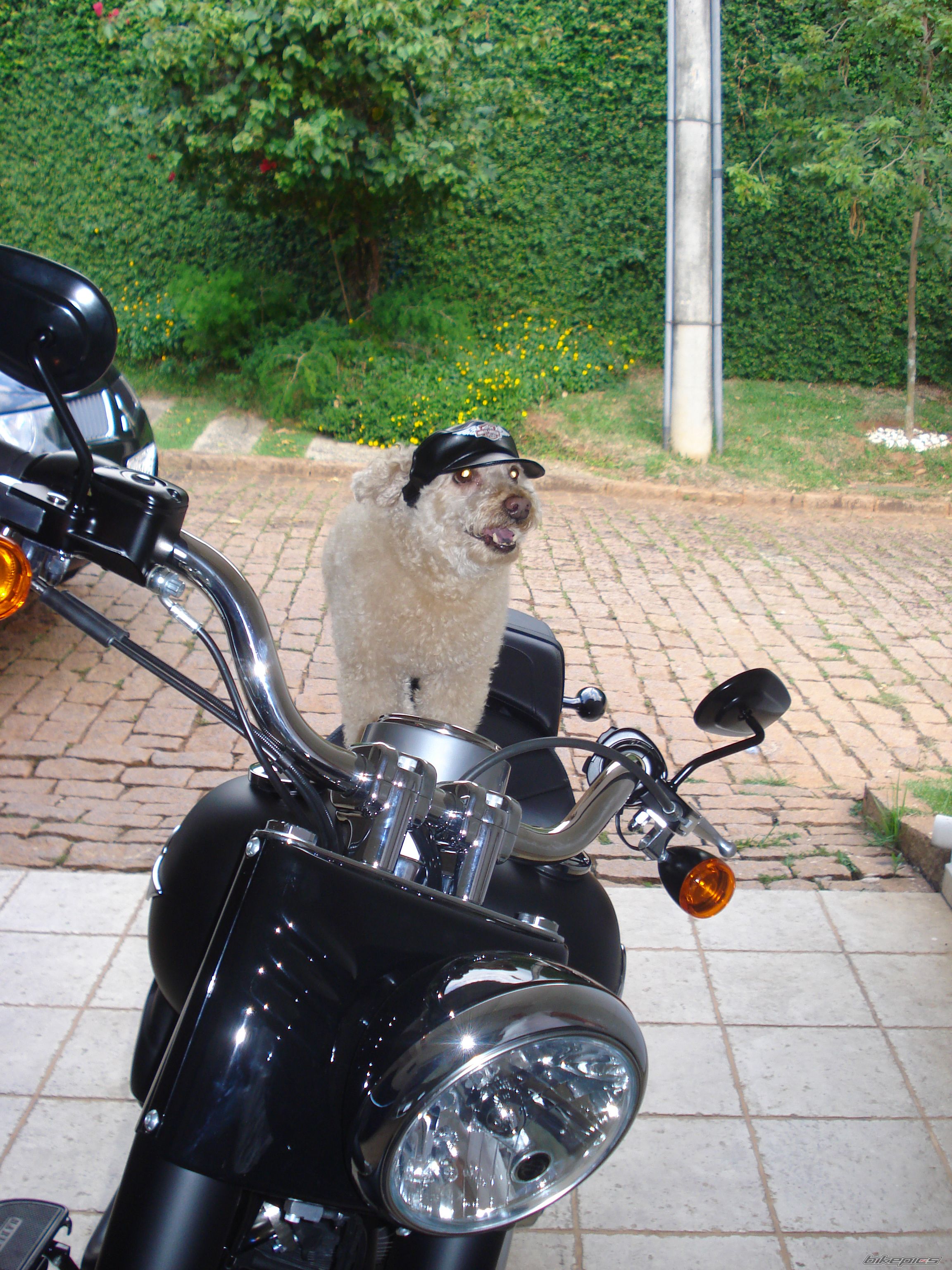 Photo 2323726