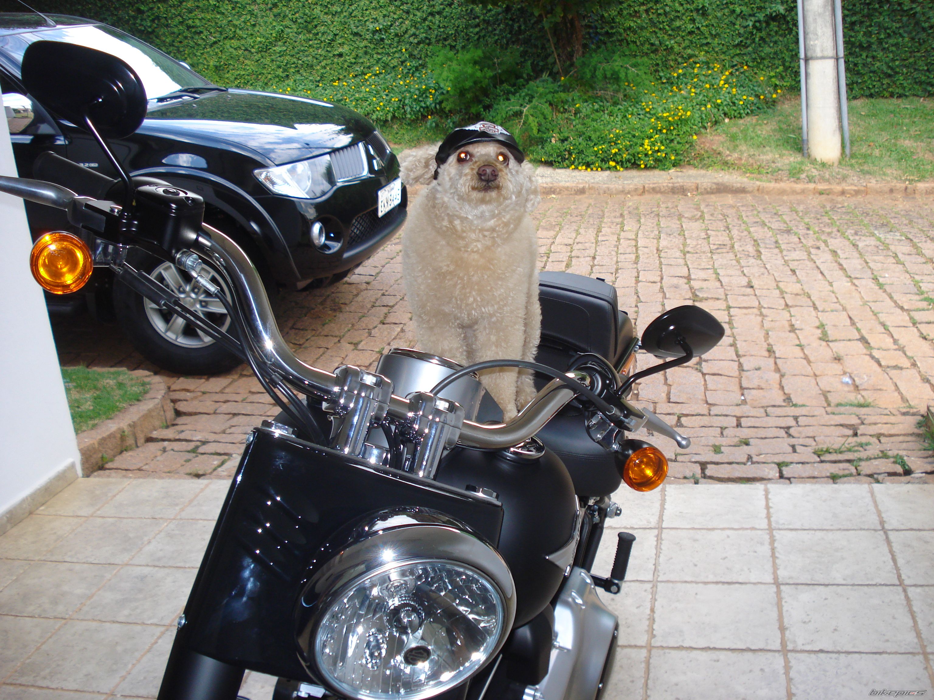 Photo 2323728
