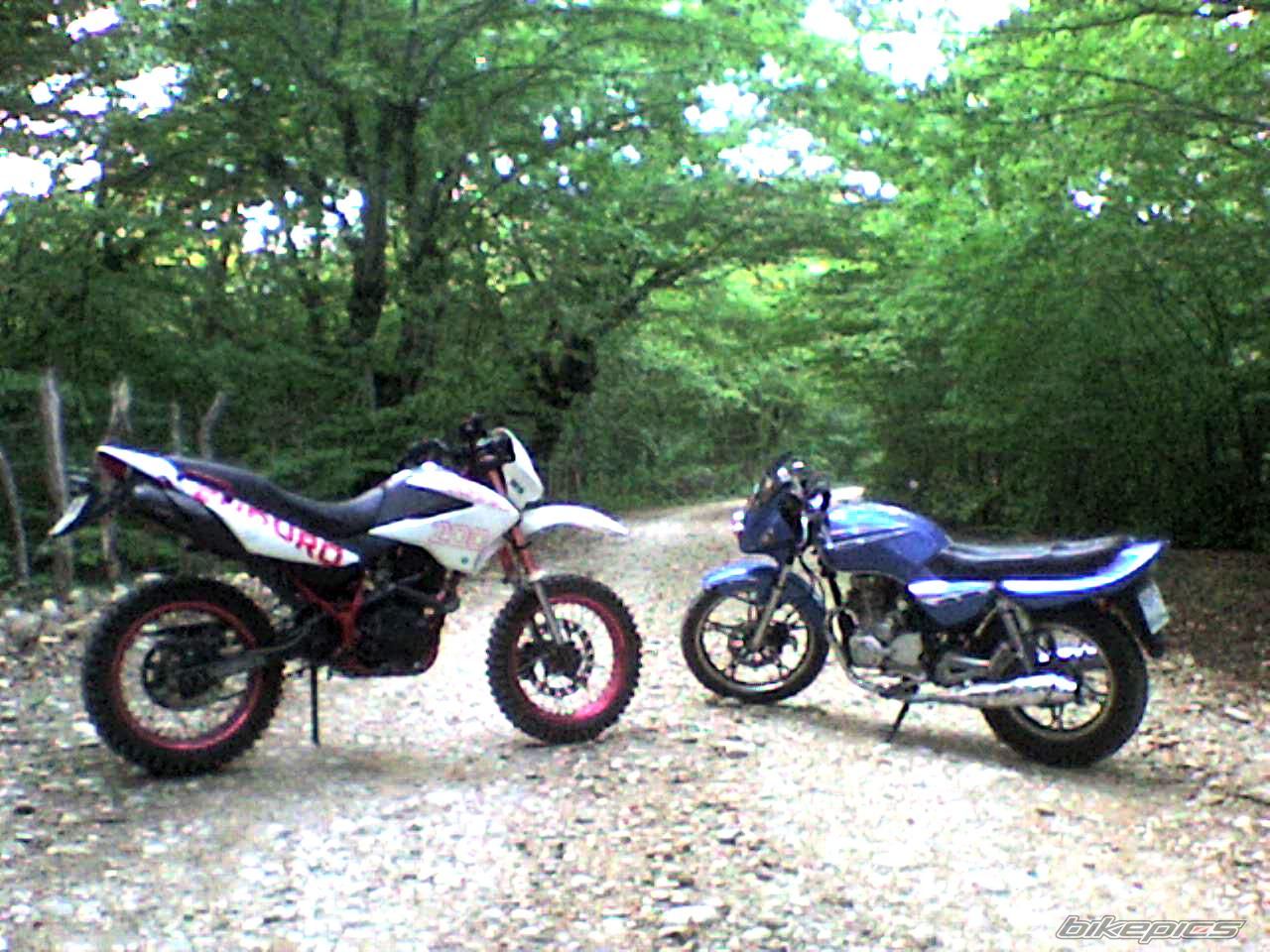 Photo 2323769