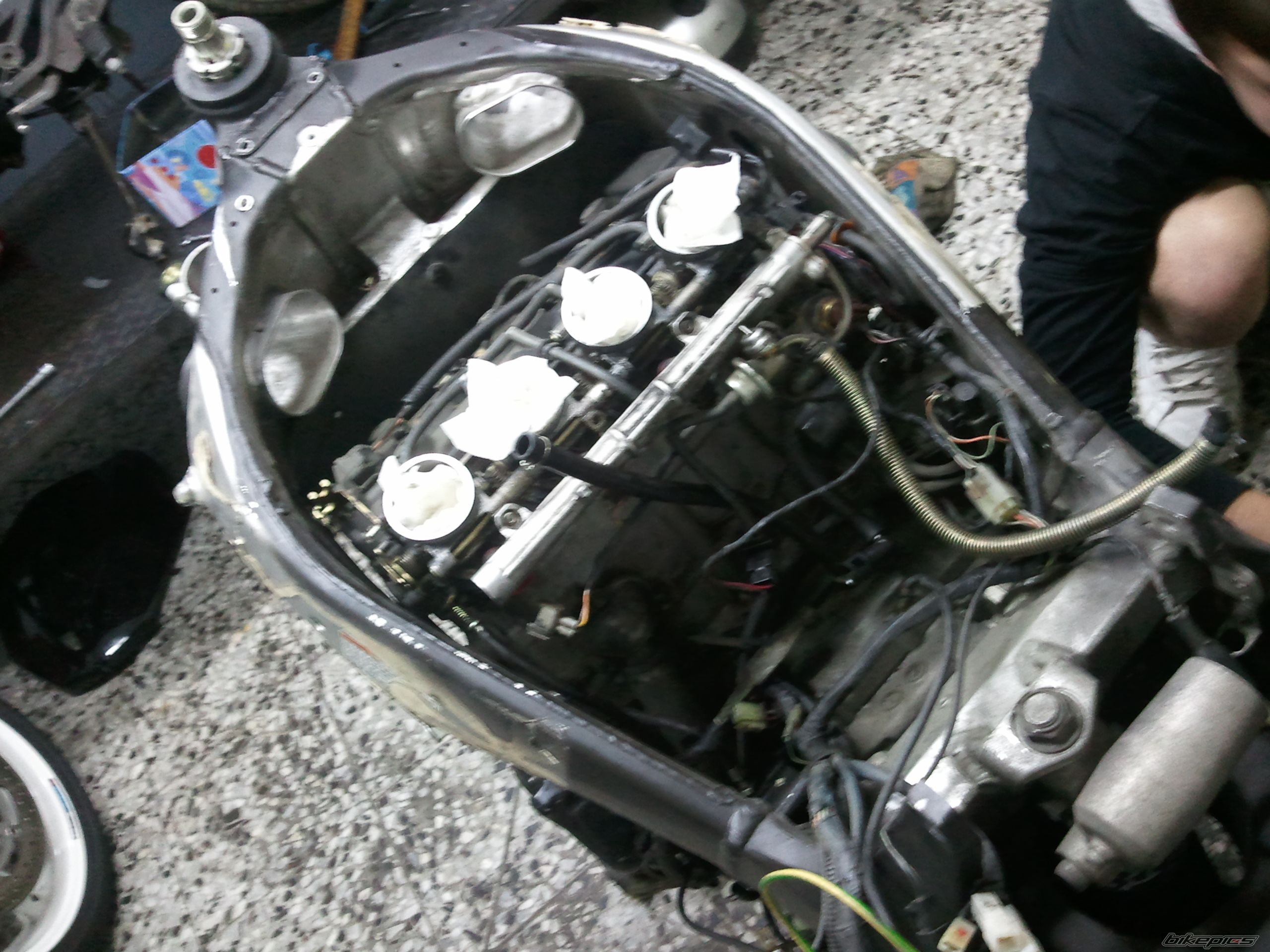 Photo 2323809