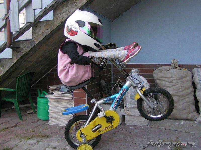 Photo 232387