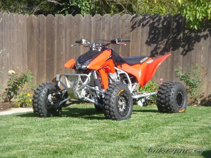 Photo 232393
