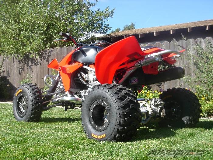 Photo 232394