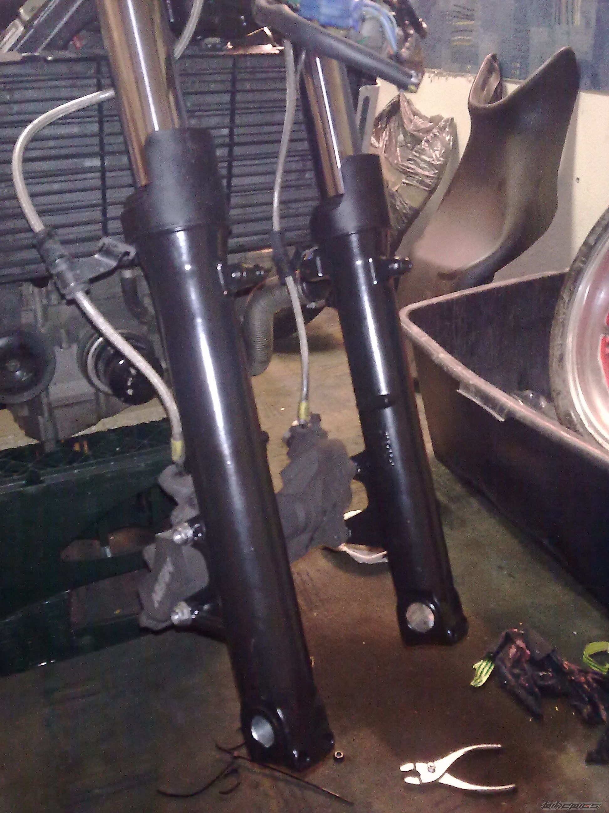 Photo 2324005