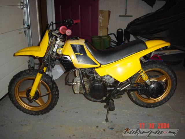 Photo 232402