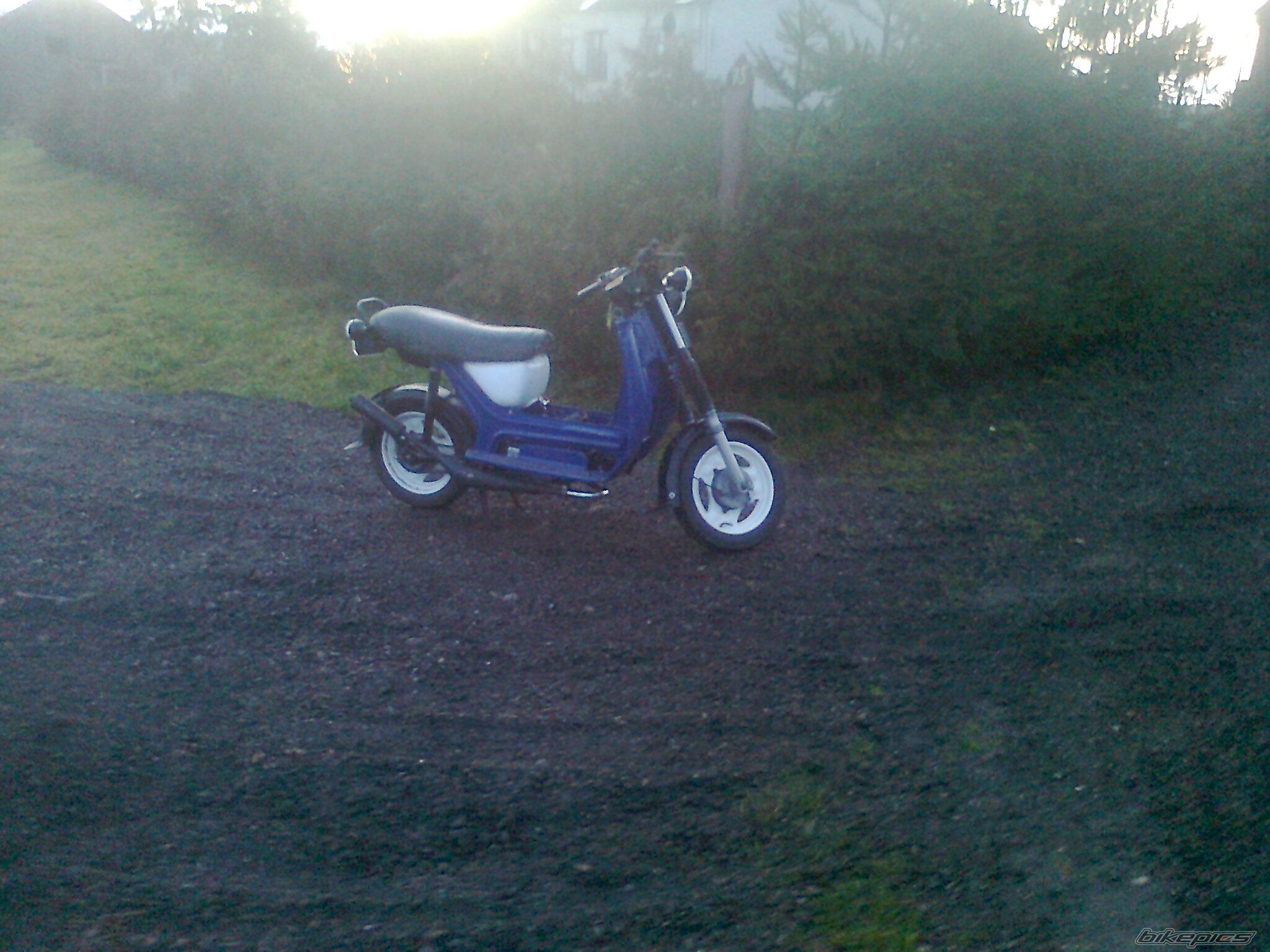 Photo 2324106
