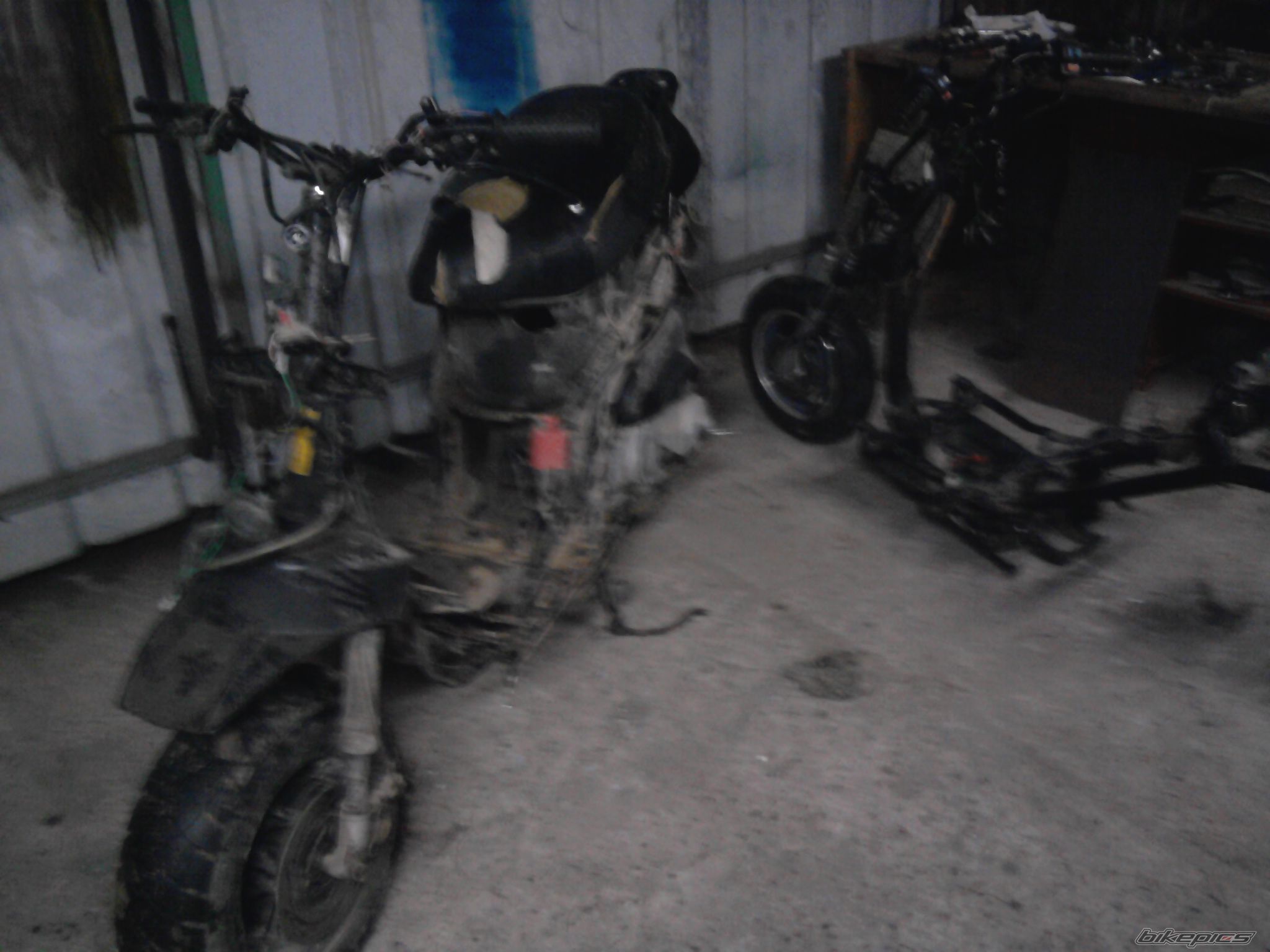 Photo 2324190