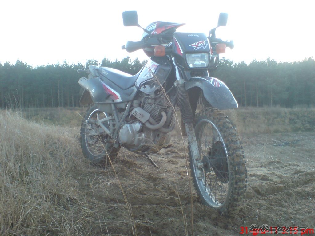 Photo 2324199
