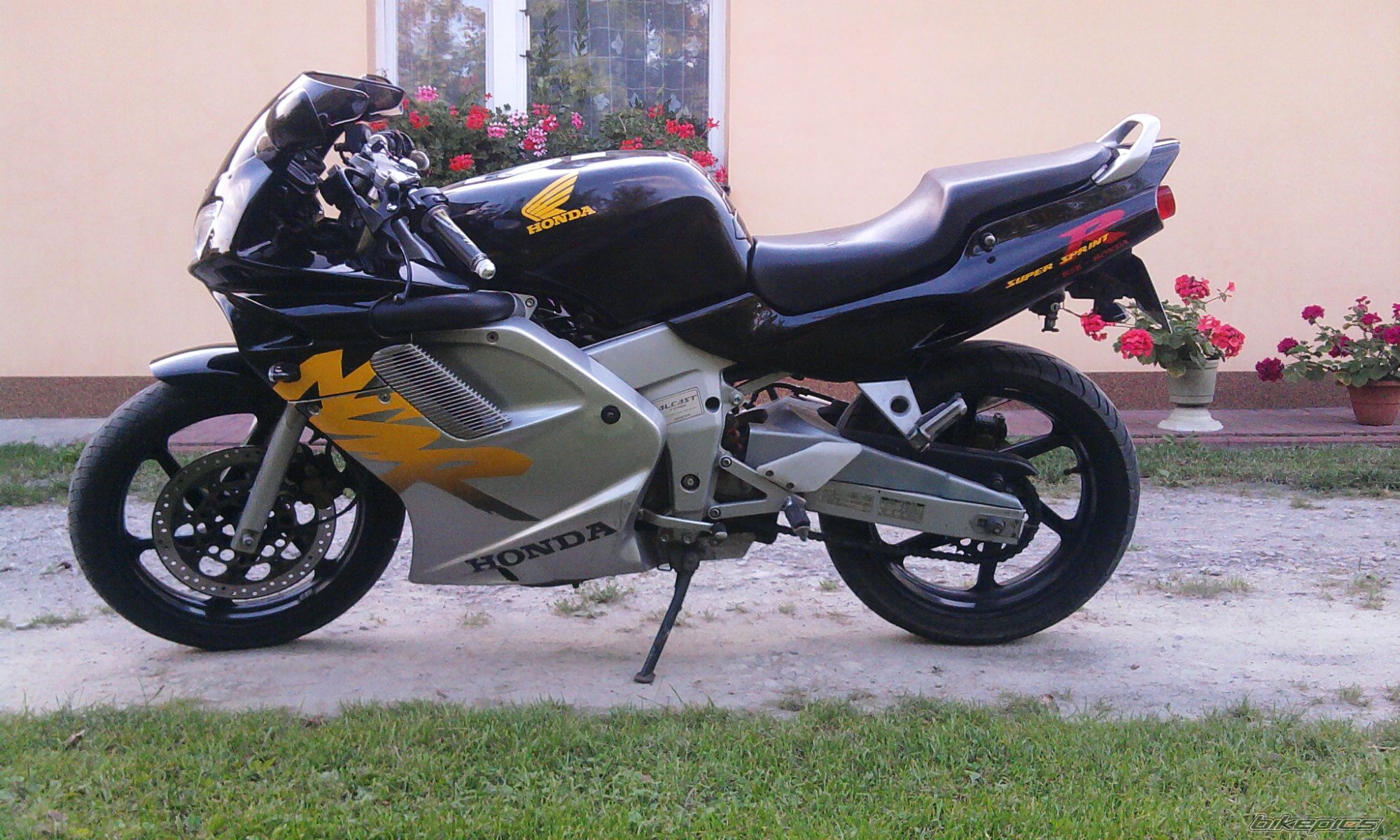 Photo 2324243