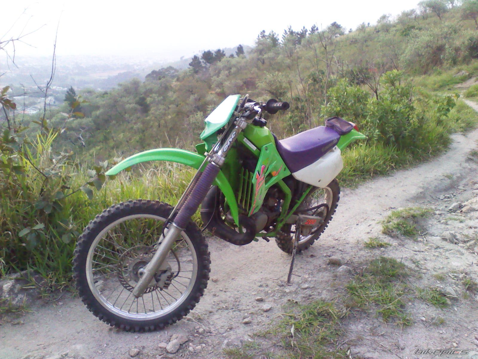 Photo 2324253