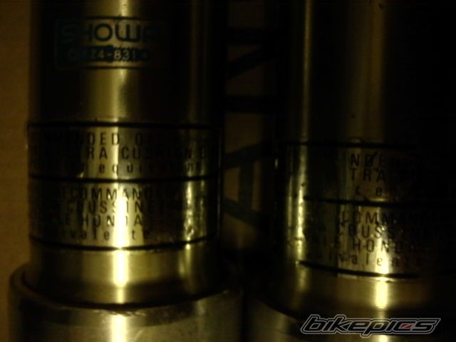 Photo 2324304