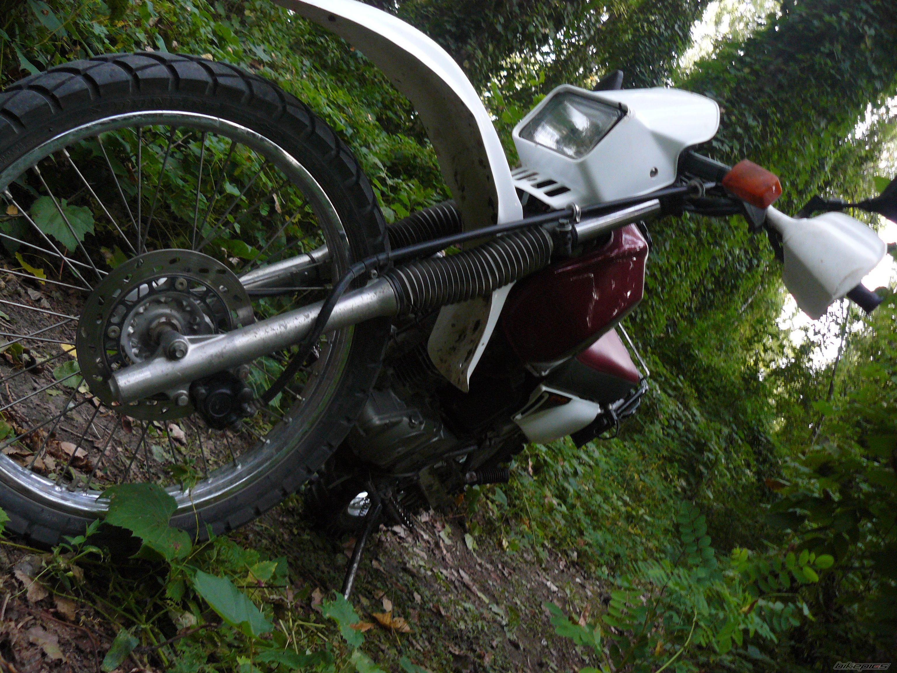 Photo 2324441