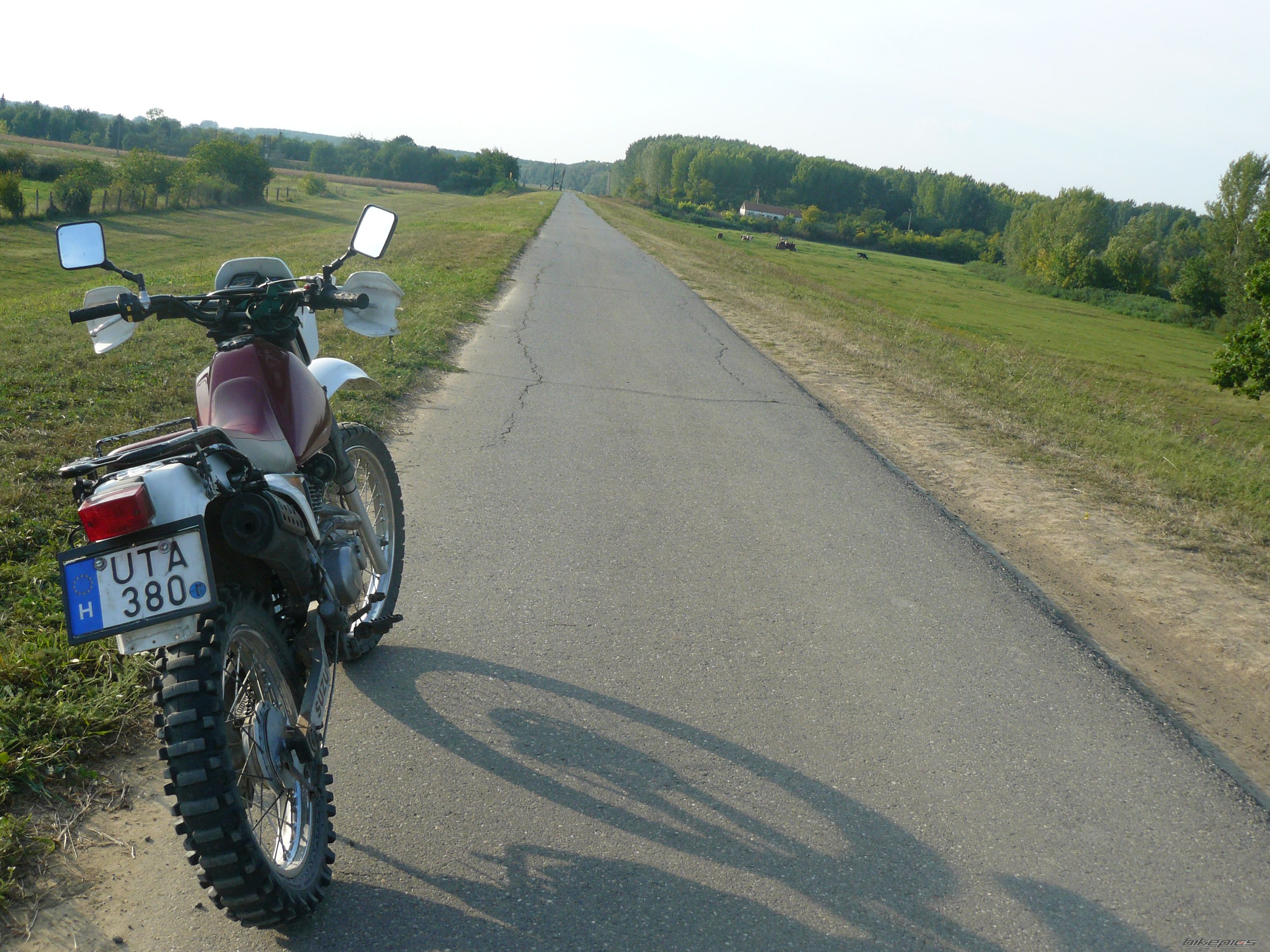 Photo 2324442