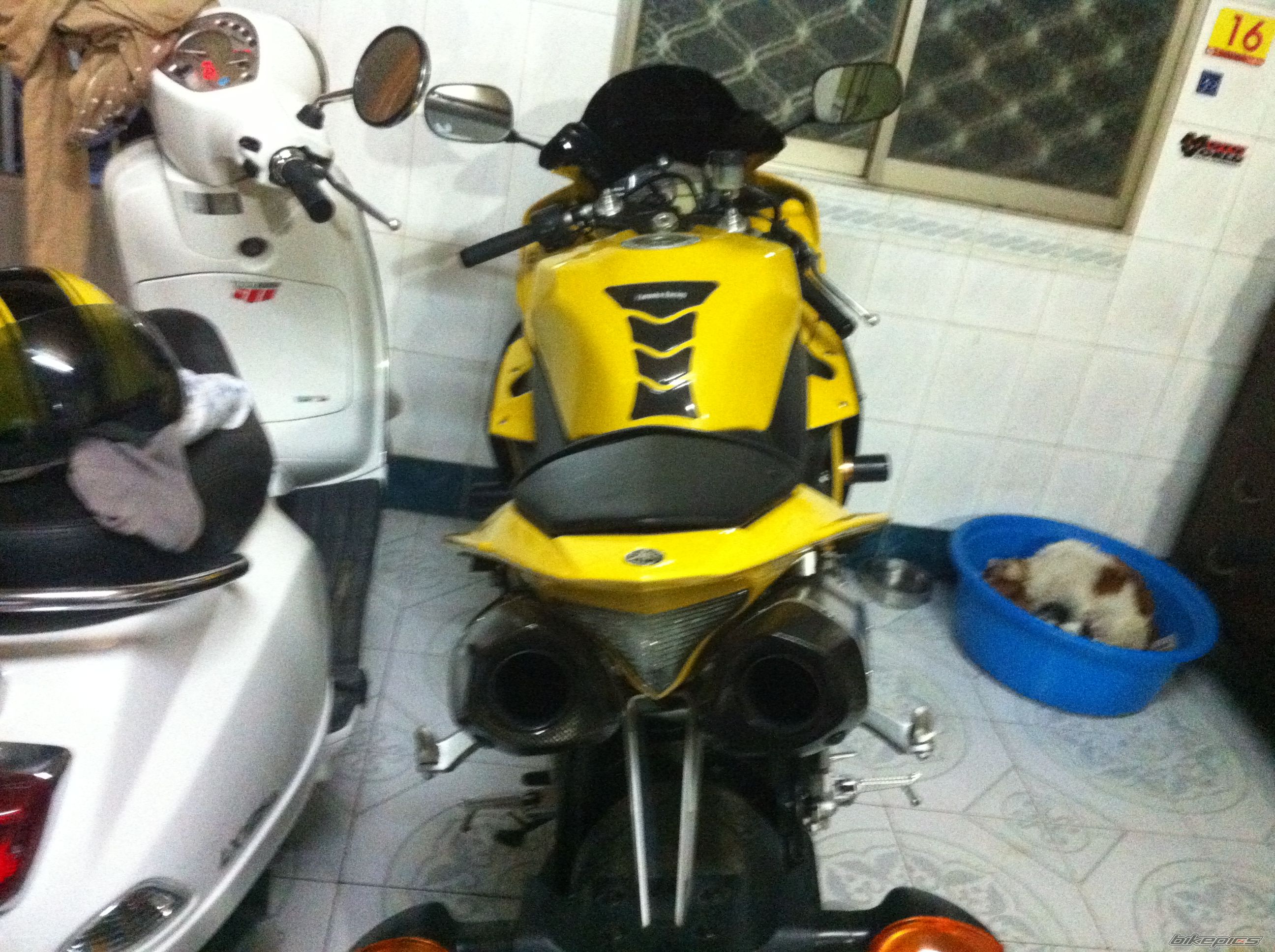 Photo 2324454