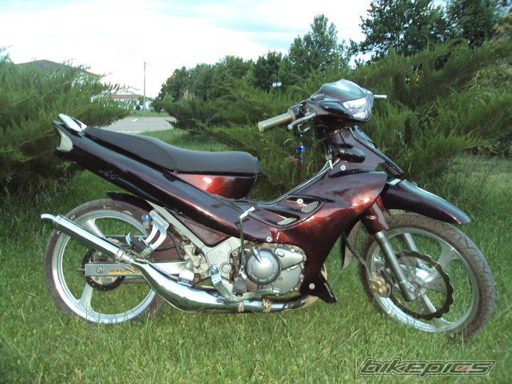 Photo 2324474