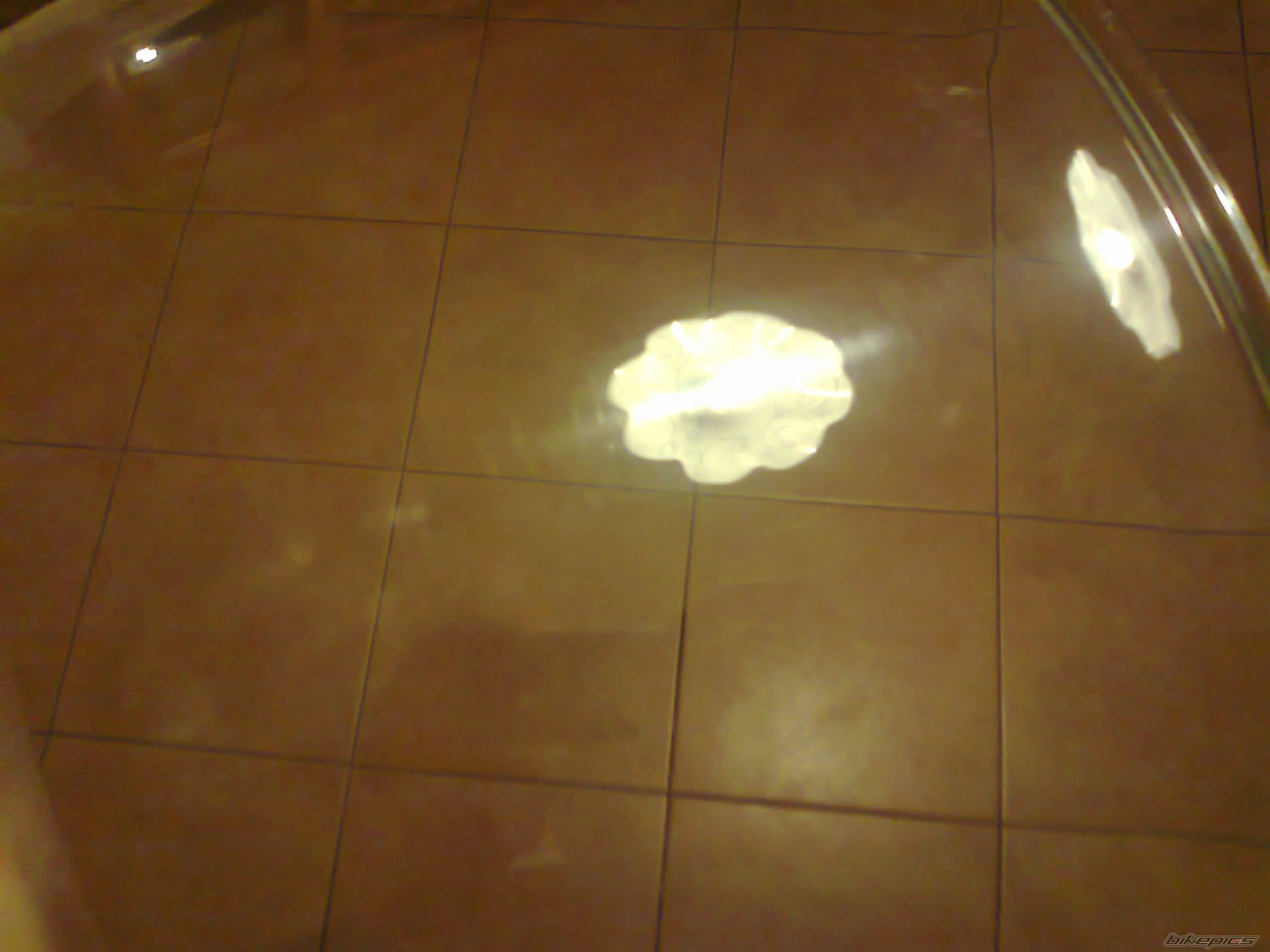 Photo 2324636