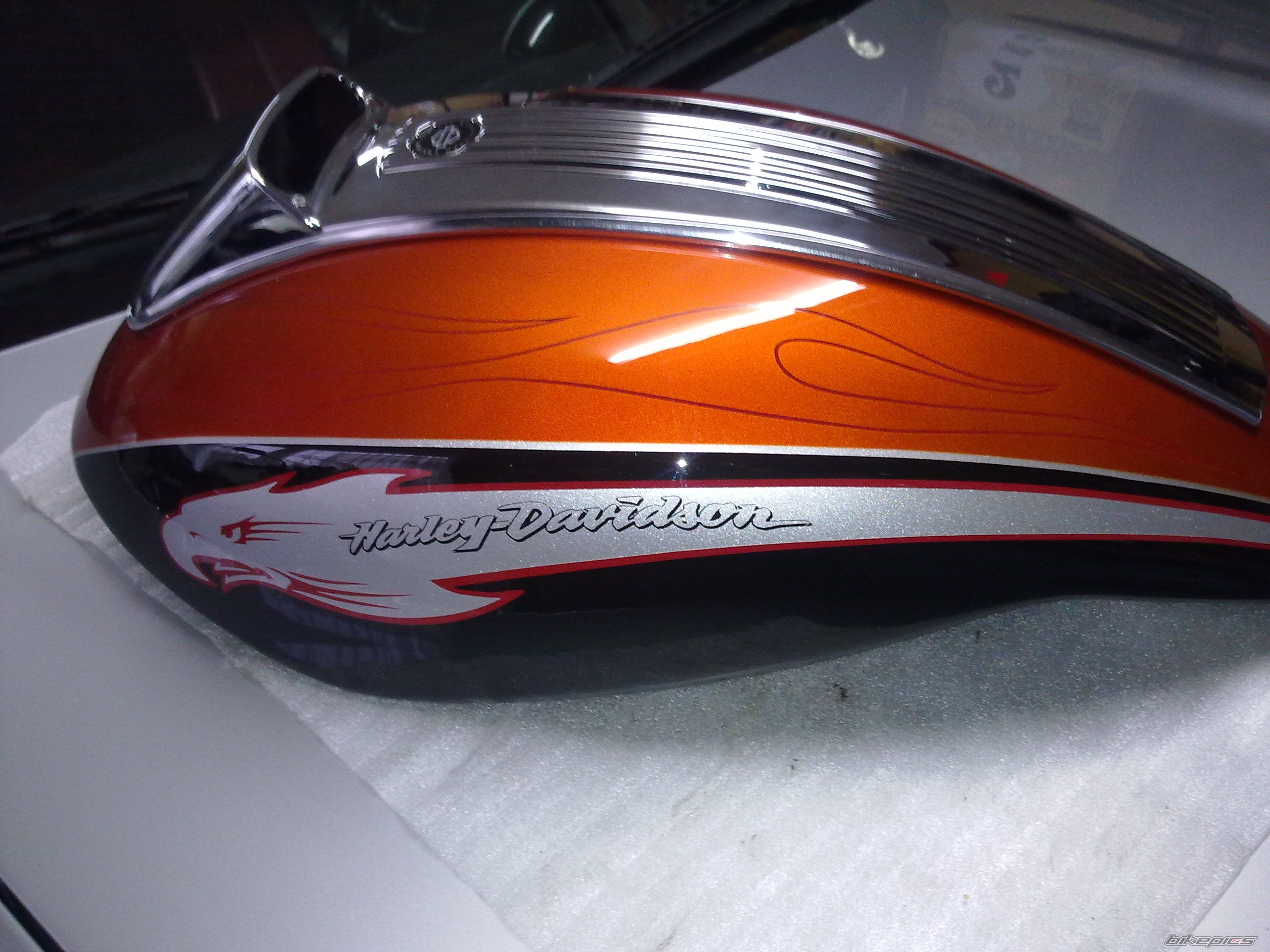 Photo 2324867