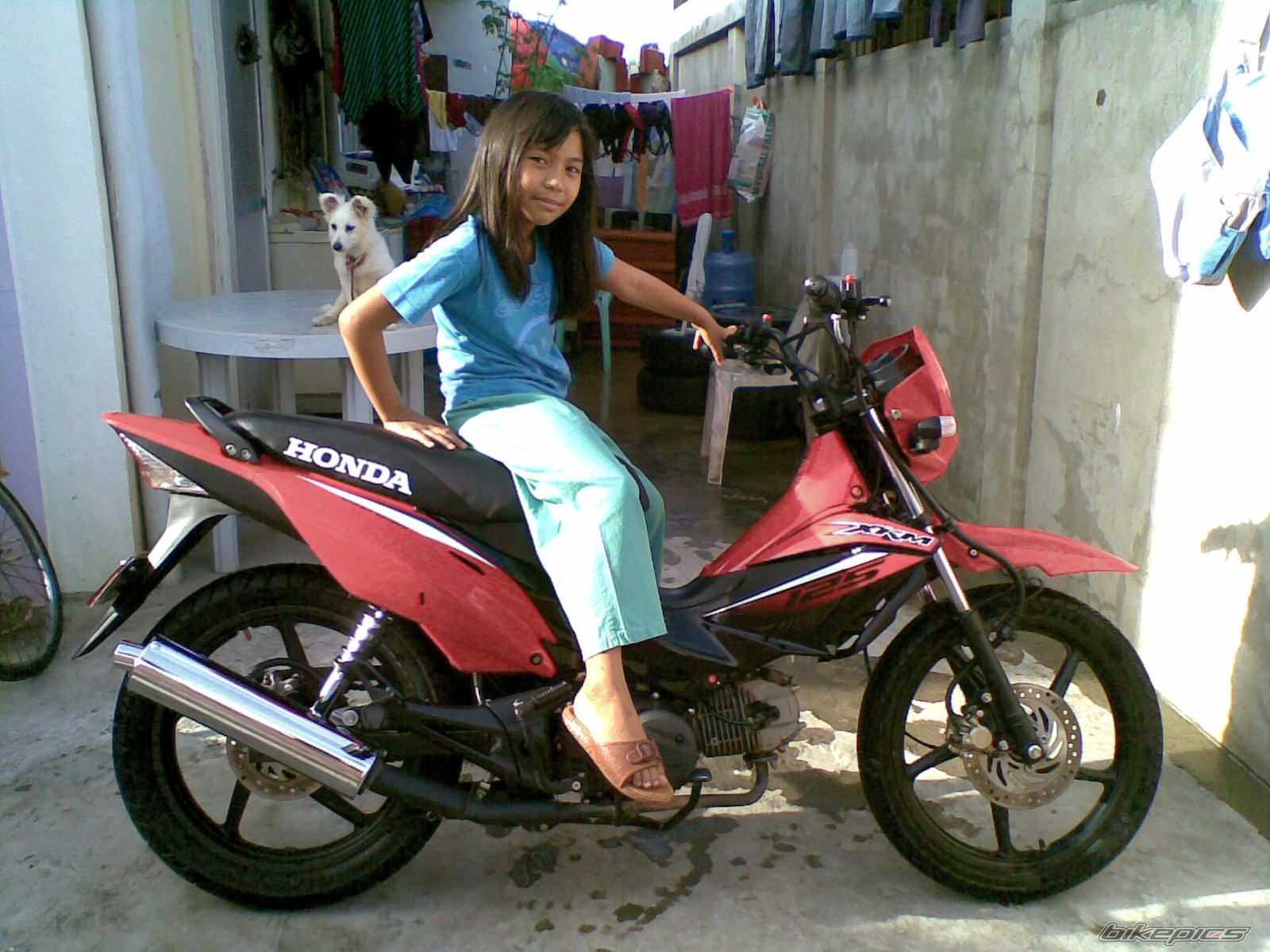 Photo 2324886