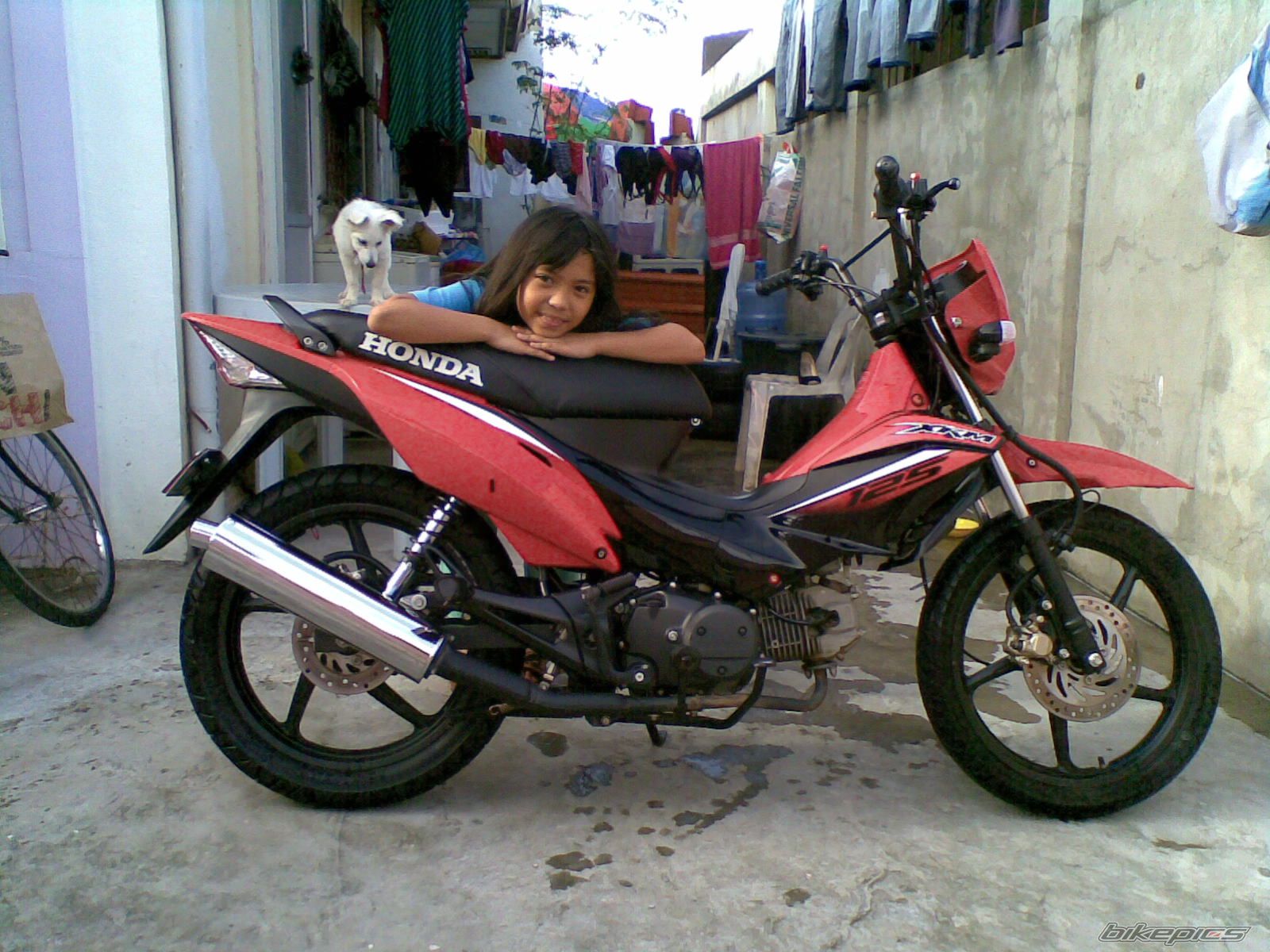 Photo 2324889