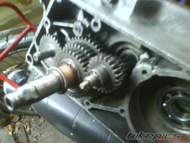 Photo 2324910