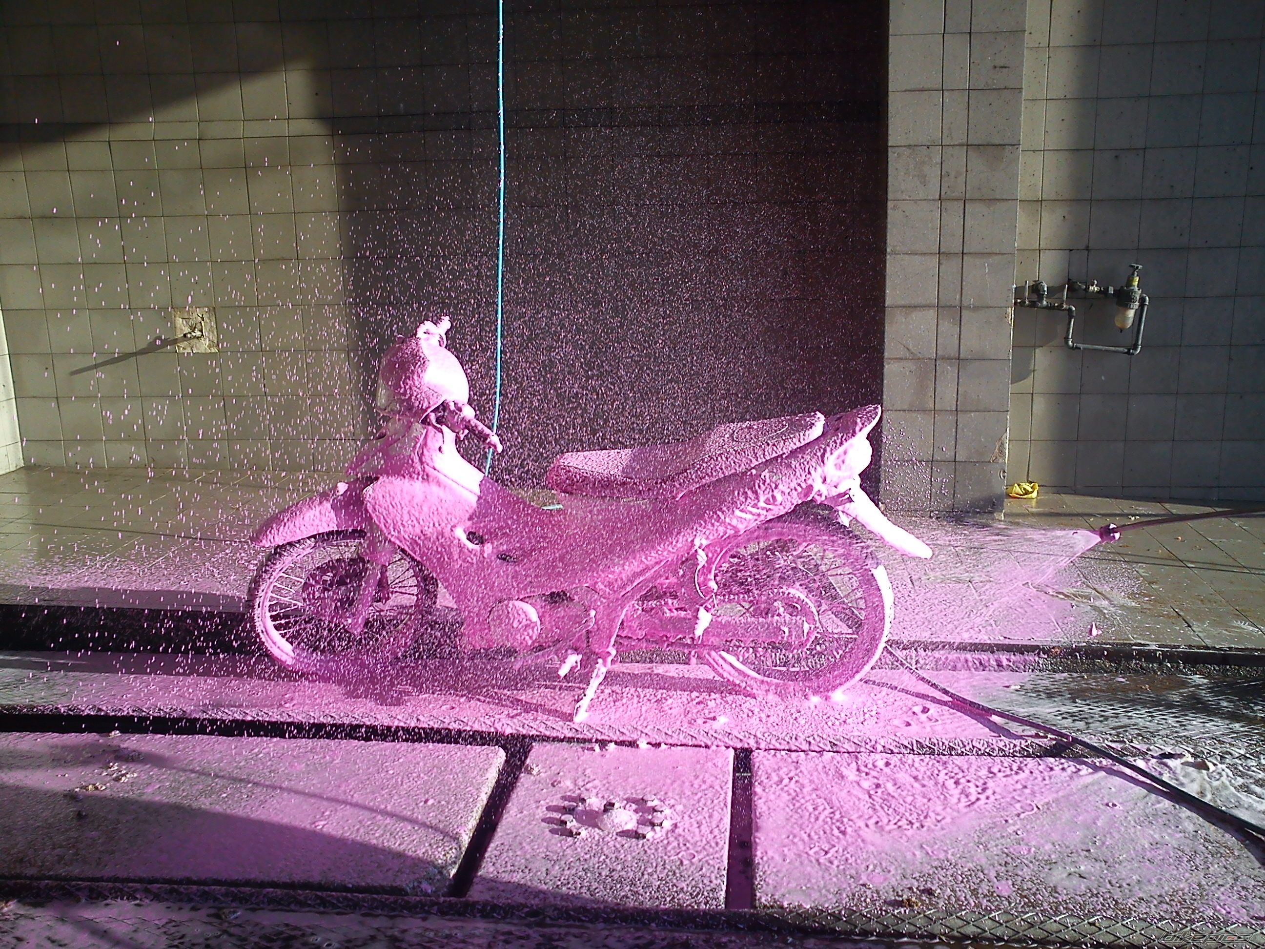 Photo 2324924
