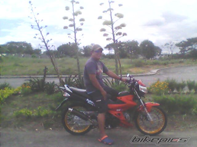Photo 2324978