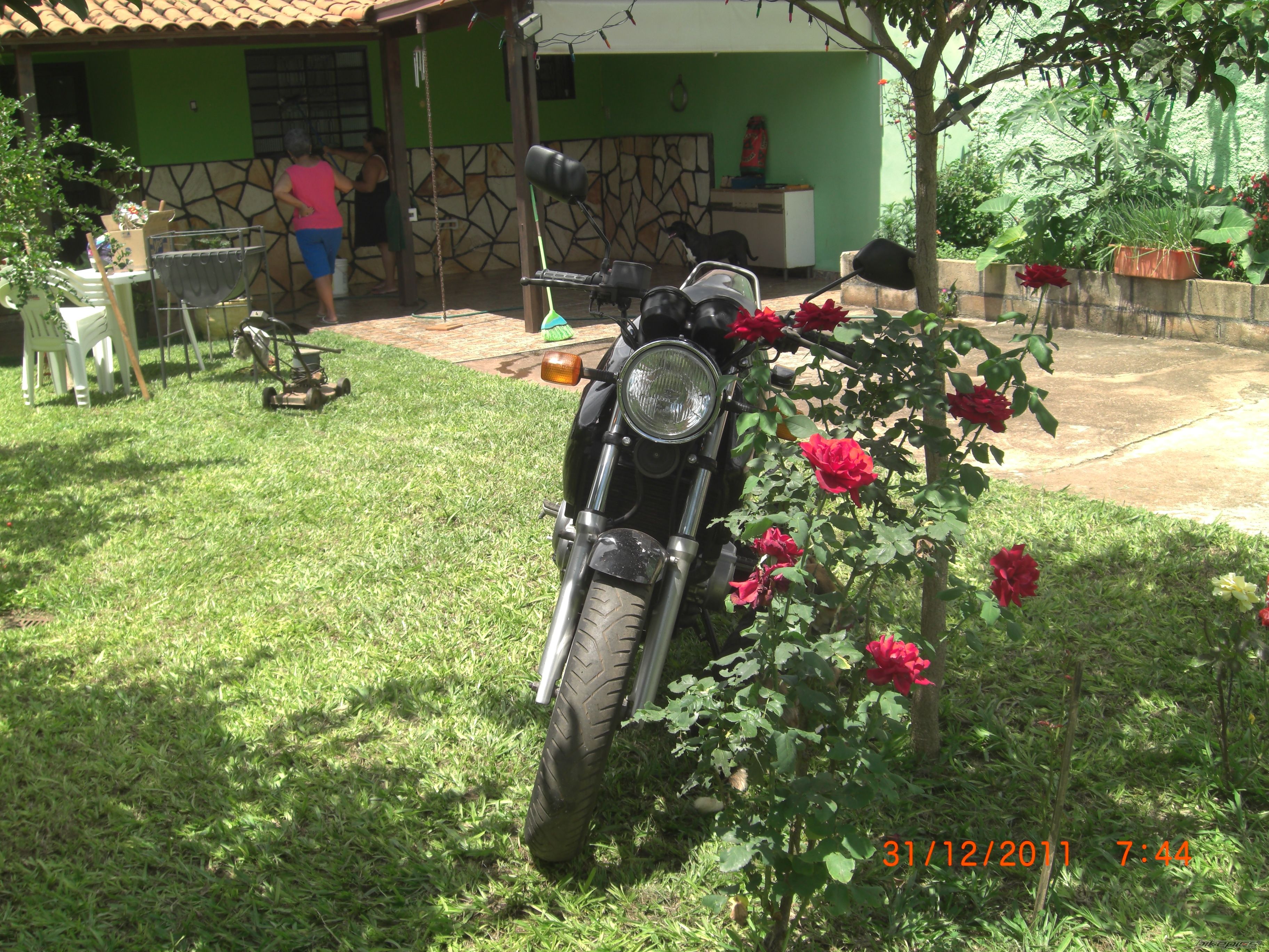 Photo 2325004