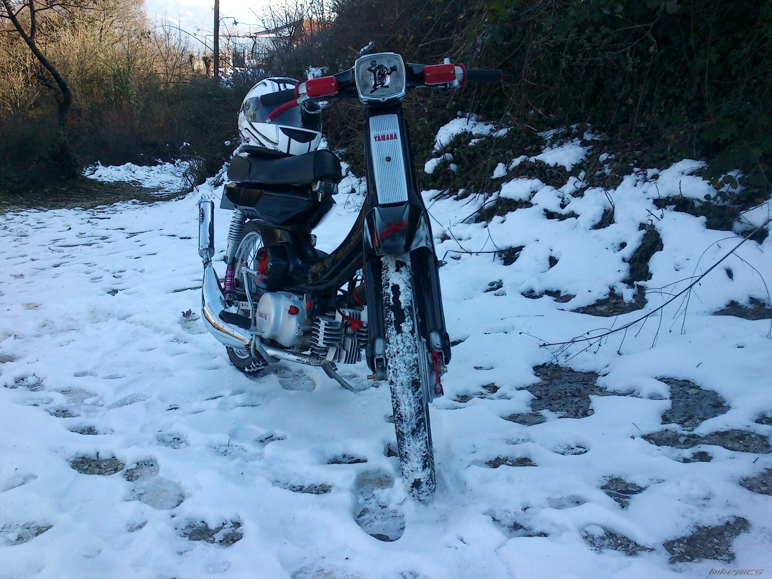 Photo 2325135