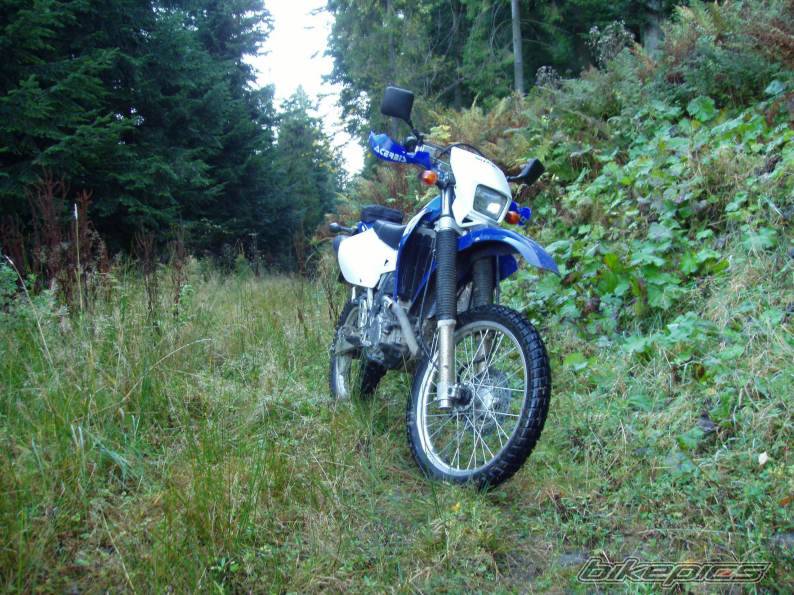 Photo 232520