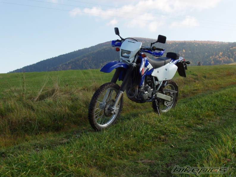 Photo 232521