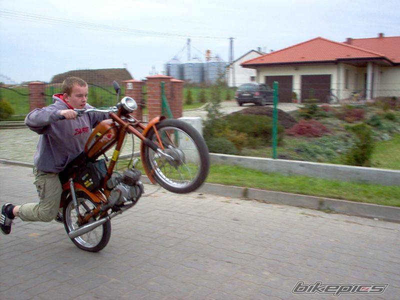 Photo 232544