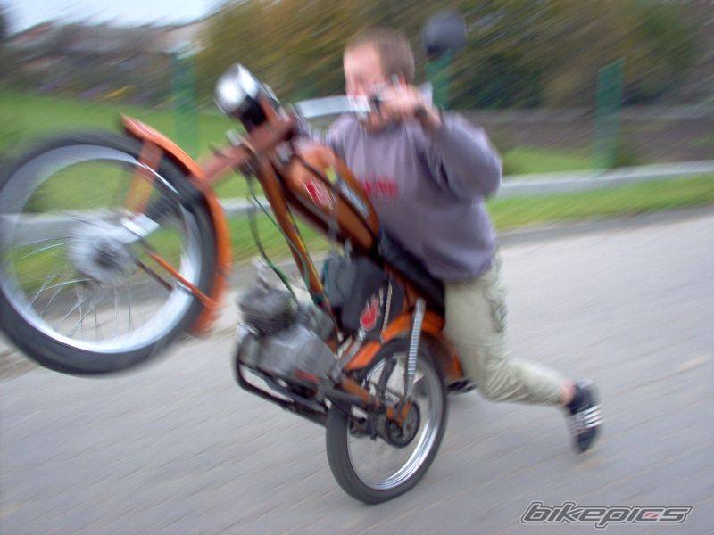 Photo 232546