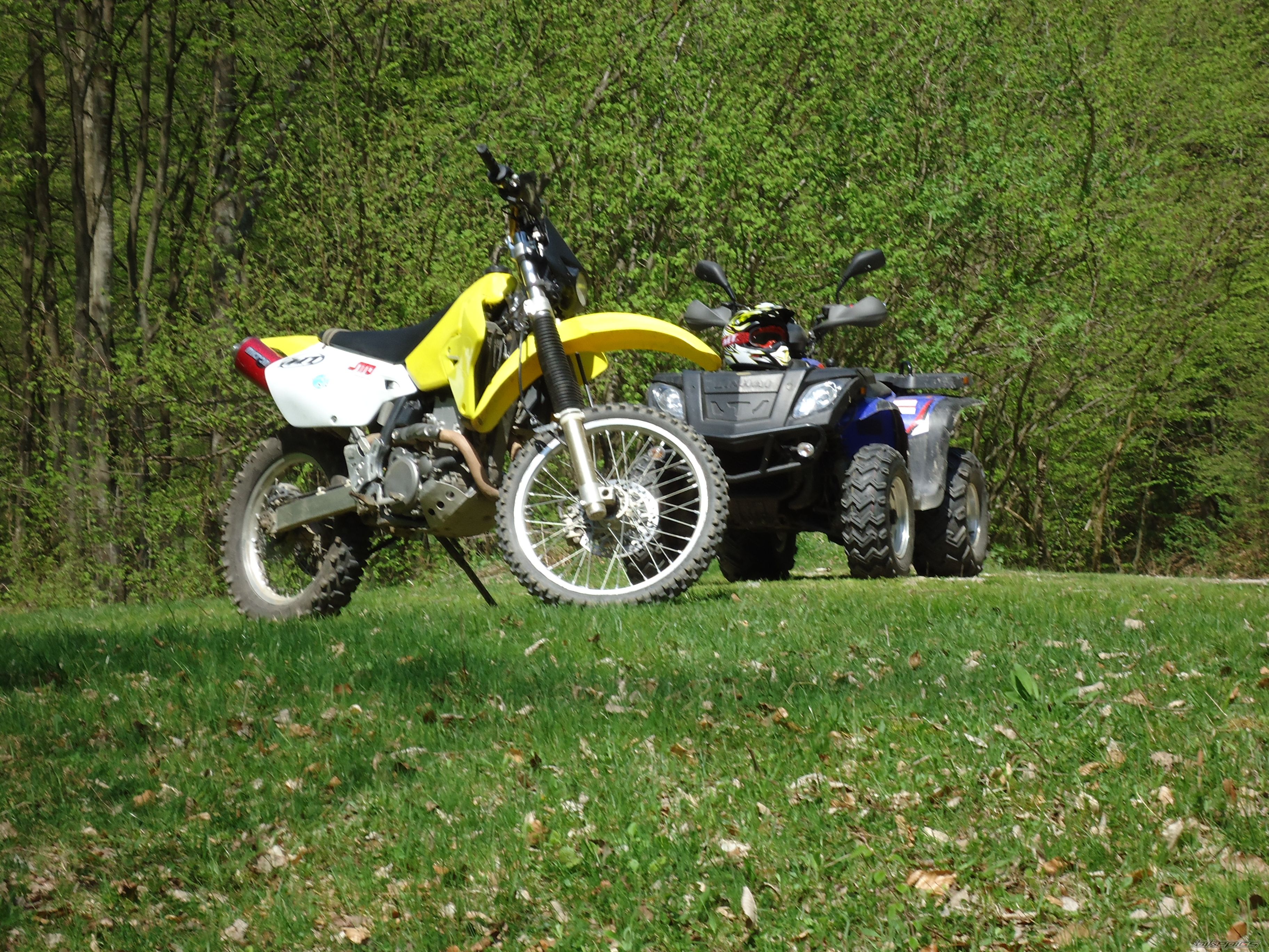 Photo 2325567