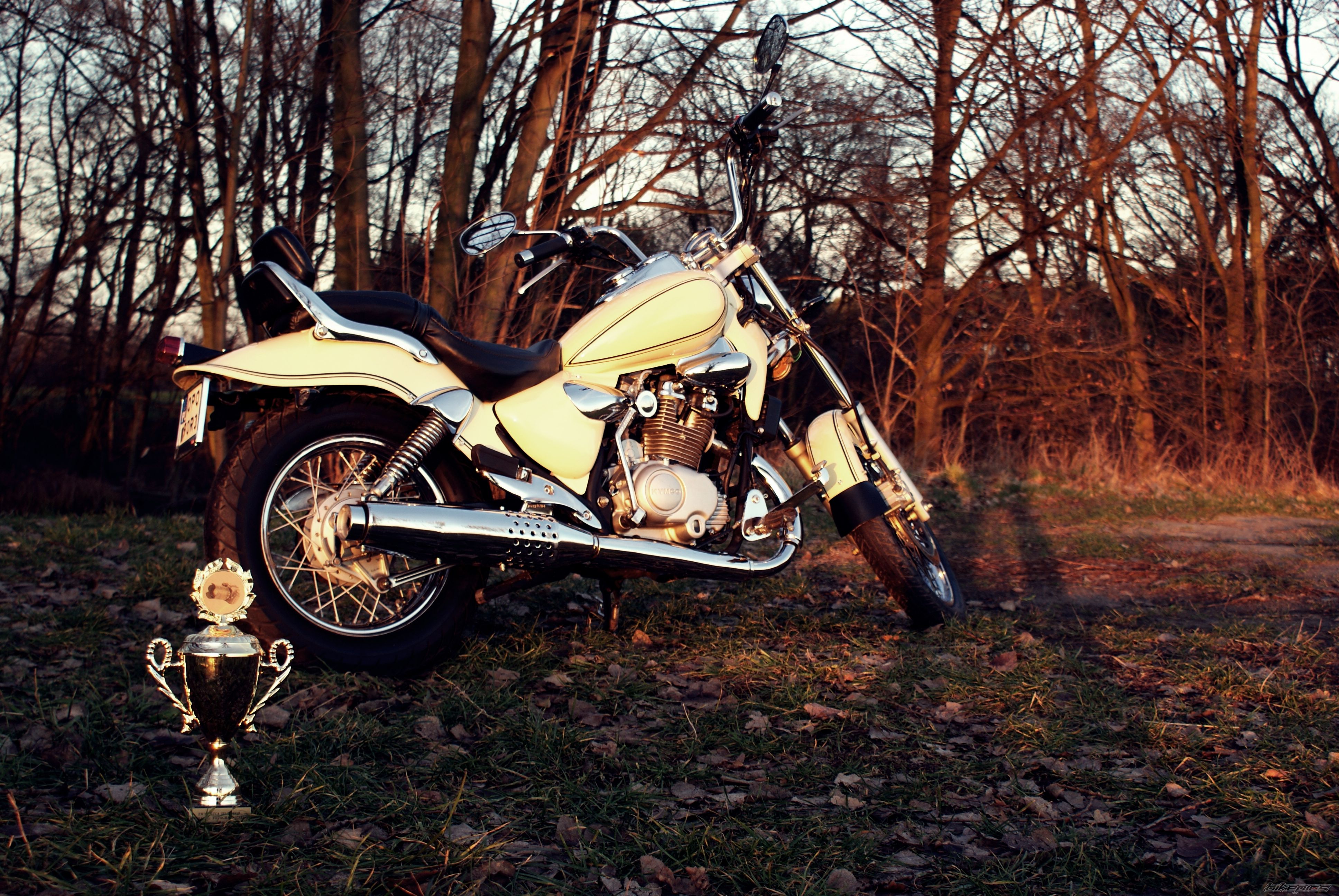Photo 2325627