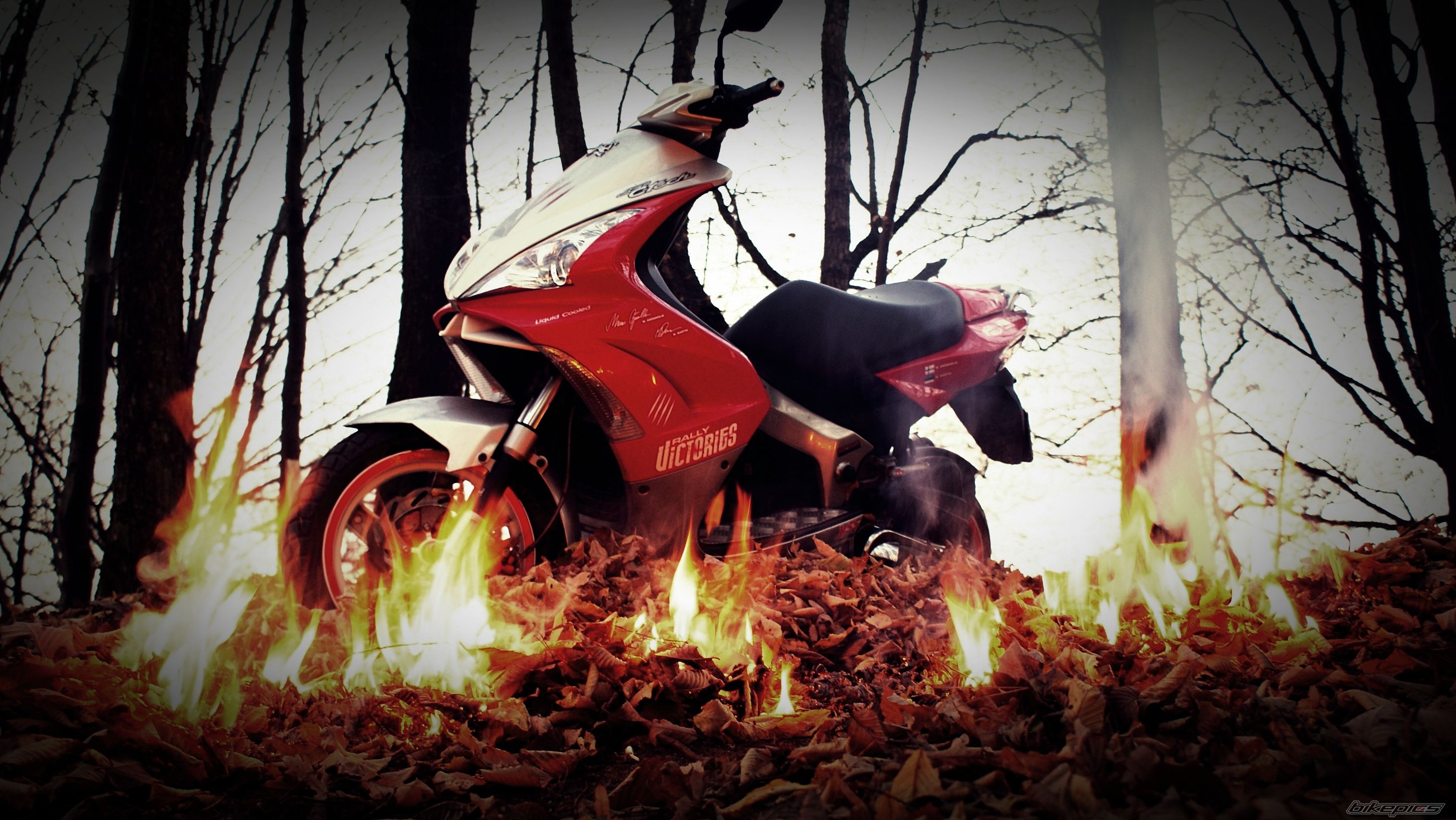 Photo 2325638