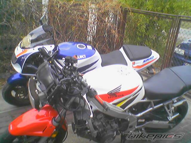 Photo 232566