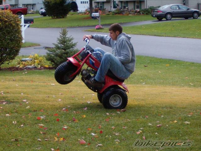 Bike Photo 232575