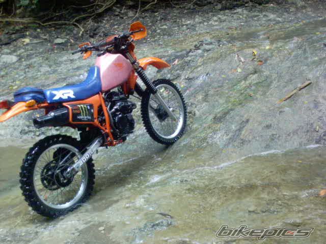 Photo 2326091