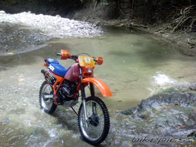 Bike Photo 2326093