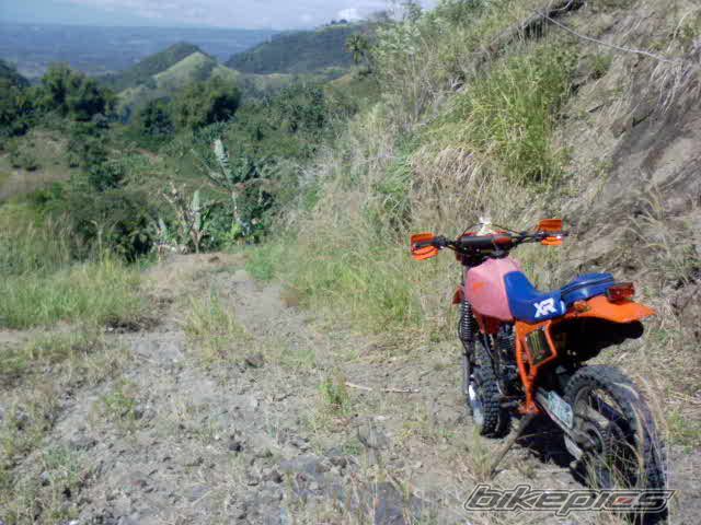 Photo 2326097