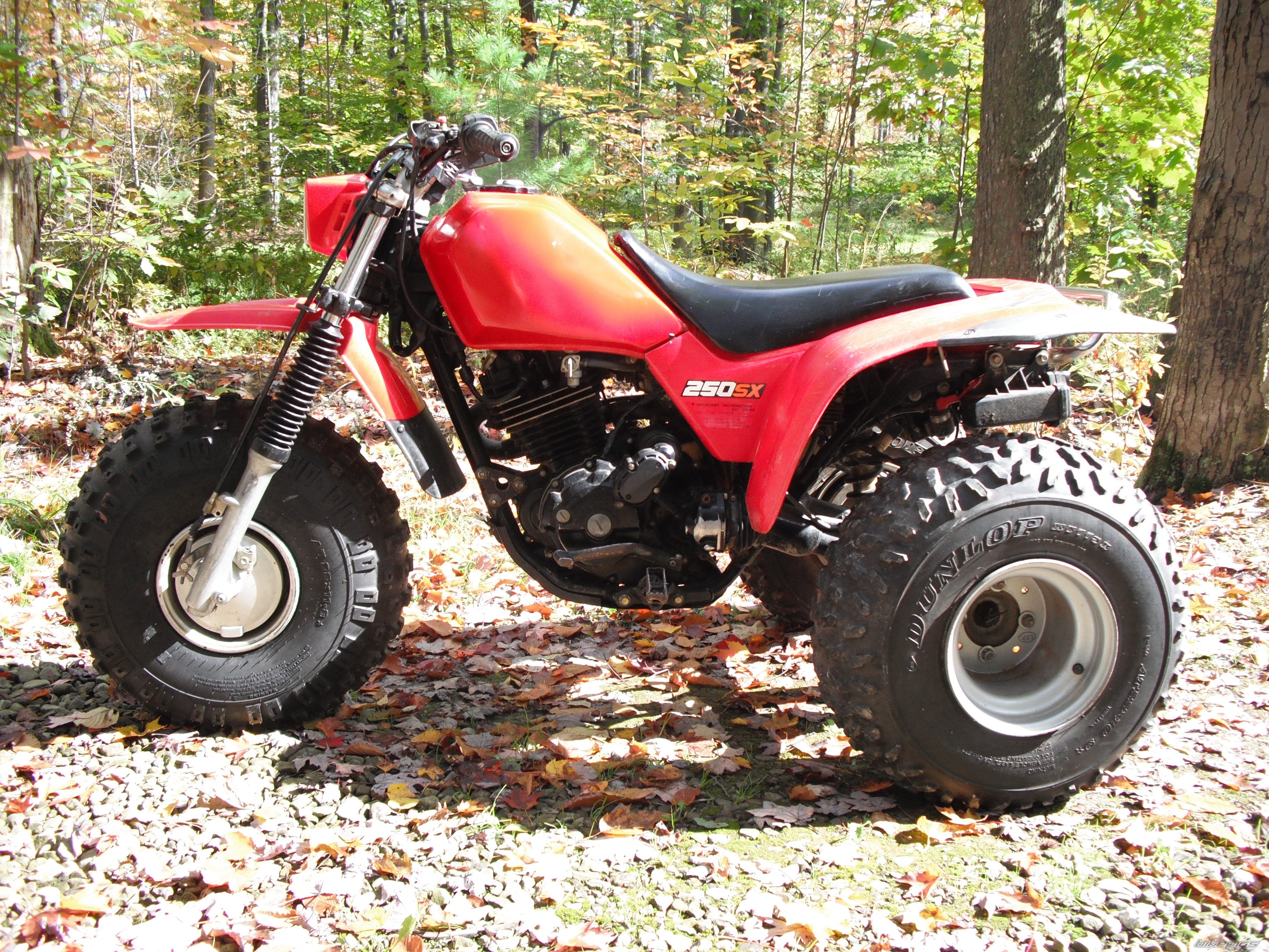 Atc 250sx