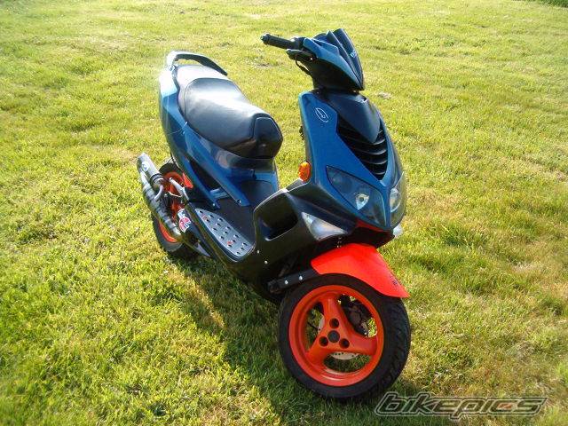 Photo 232691