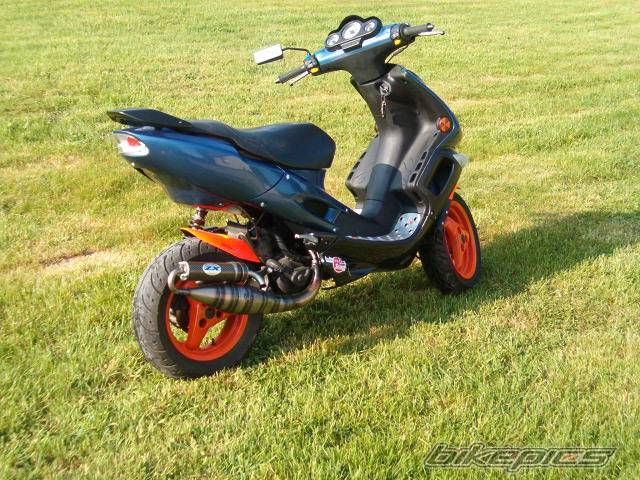 Photo 232705