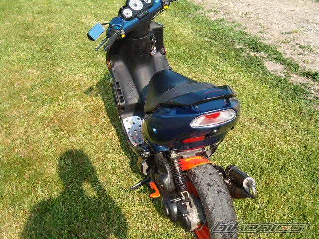 Photo 232707